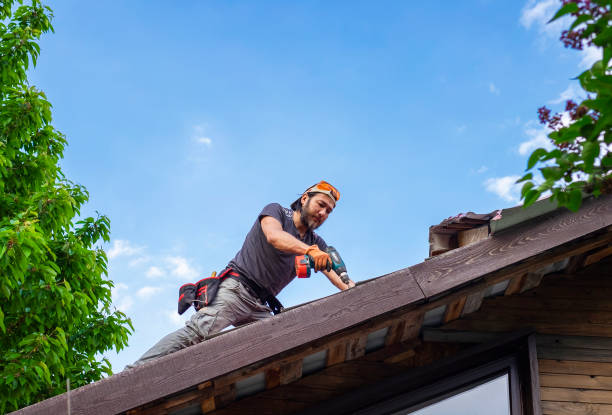 Best Metal Roofing Installation  in Berkeley, MO